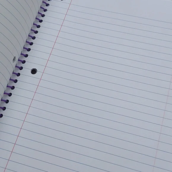 HTF New  Lisa Frank Spiral School 1 Subject Notebook - Picture 5 of 6